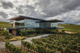Siège social moderne d'un groupe viticole avec vignobles en arrière-plan
