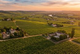 Vue aérienne du vignoble nantais au coucher du soleil avec rangées de vignes et domaines viticoles